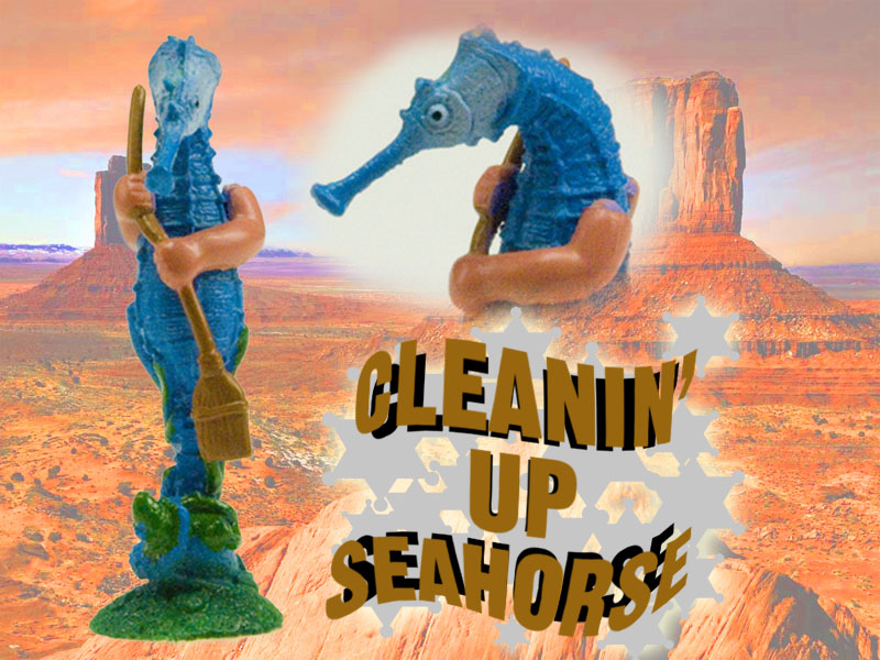 cleanin' up seahorse