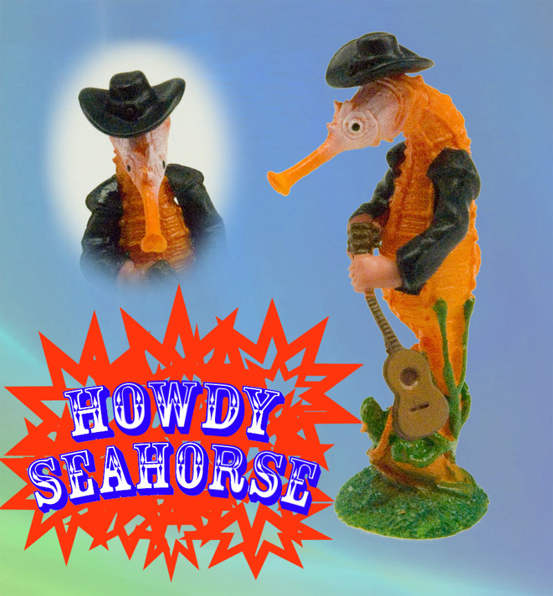 Howdy cowboy seahorse