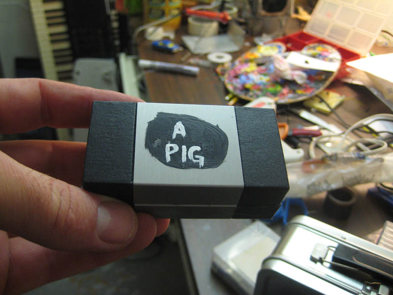 a pig