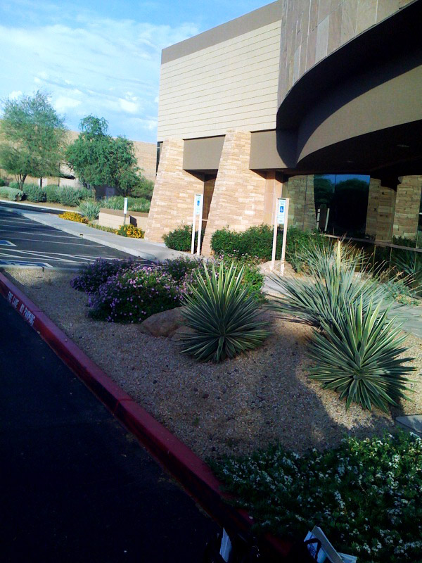 arizona