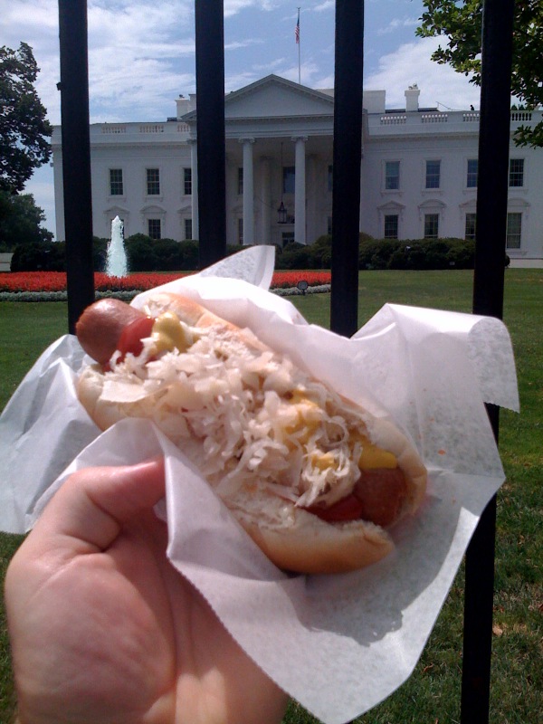 hot dog america david neevel